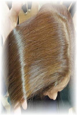 キングスクロス【キングスクロス】のスタイル紹介。口コミ