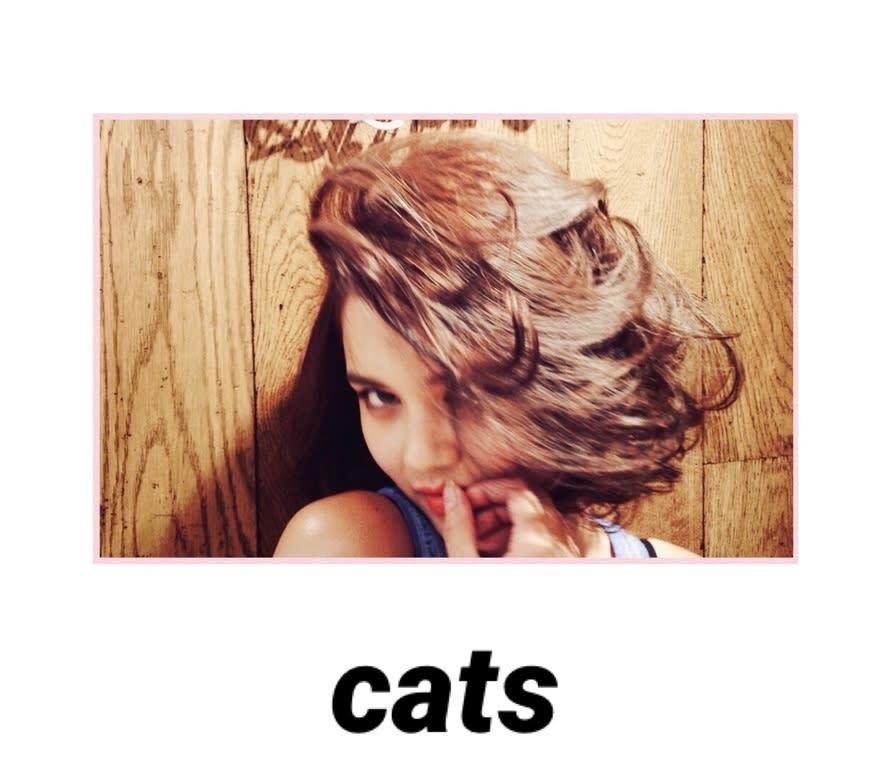 -takk- design lab【タック デザインラボ】のスタイル紹介。cats