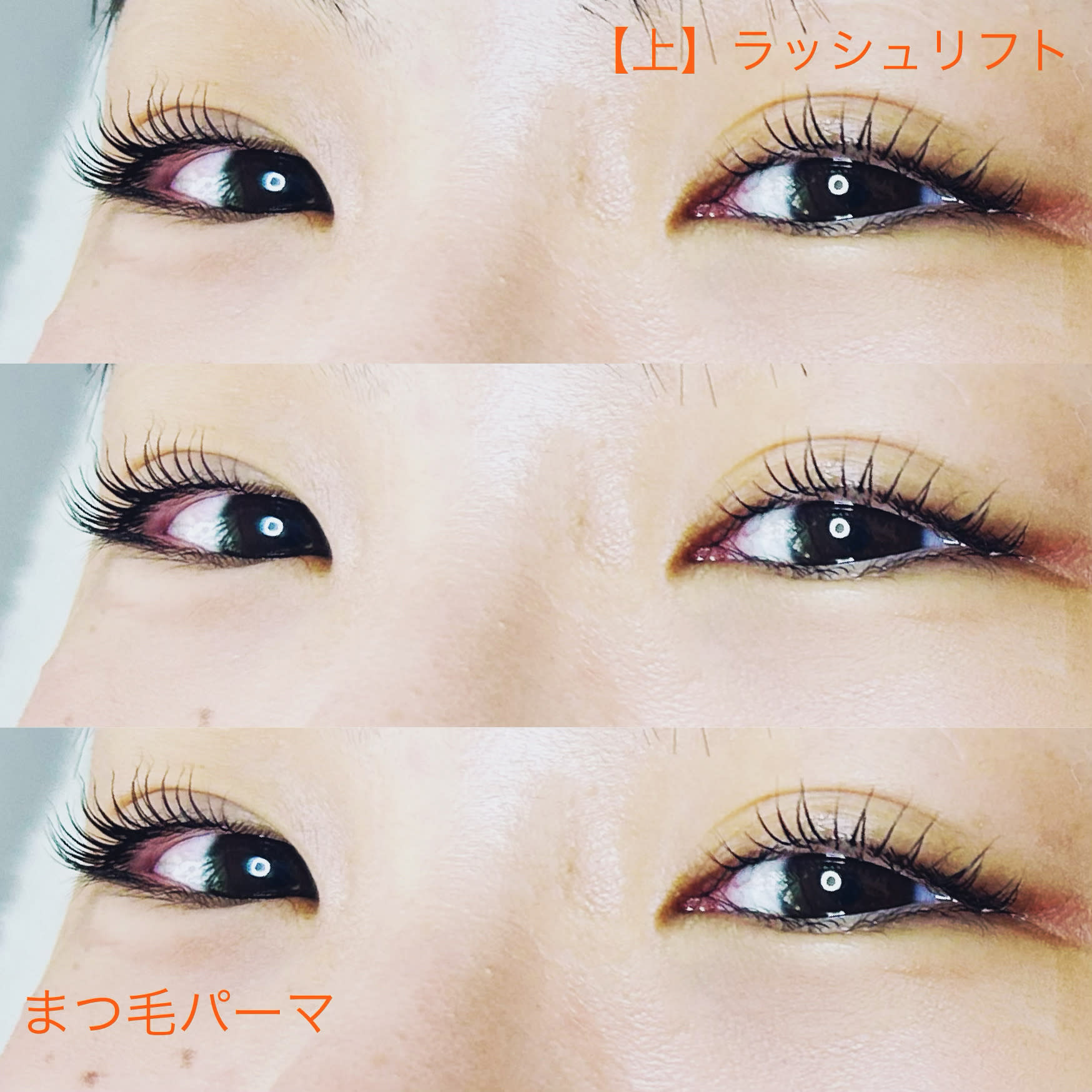 Swaidee eyelushのアイキャッチ画像