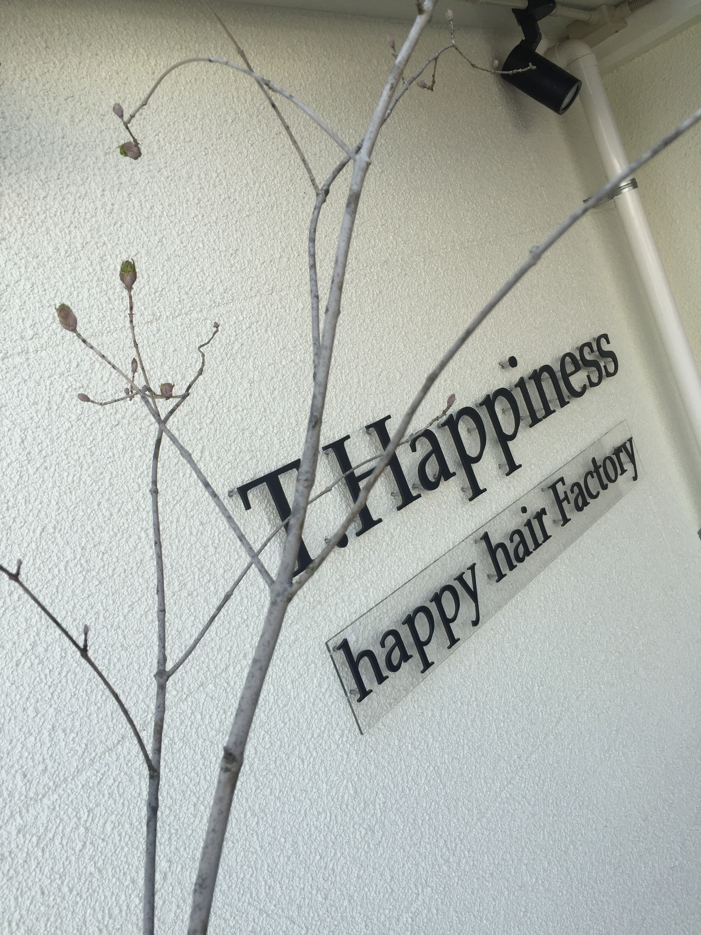 T.Happiness 大竹店のアイキャッチ画像