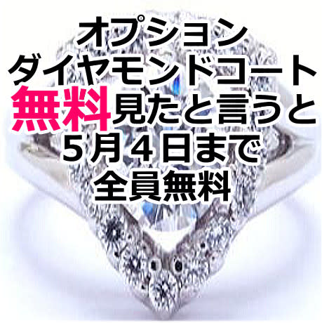 キングスクロスのアイキャッチ画像