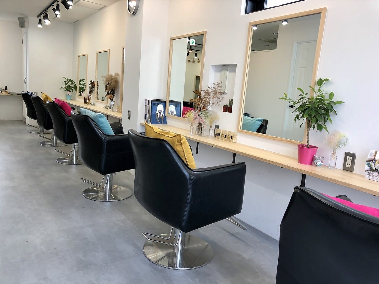 Aust hair Monicaのアイキャッチ画像