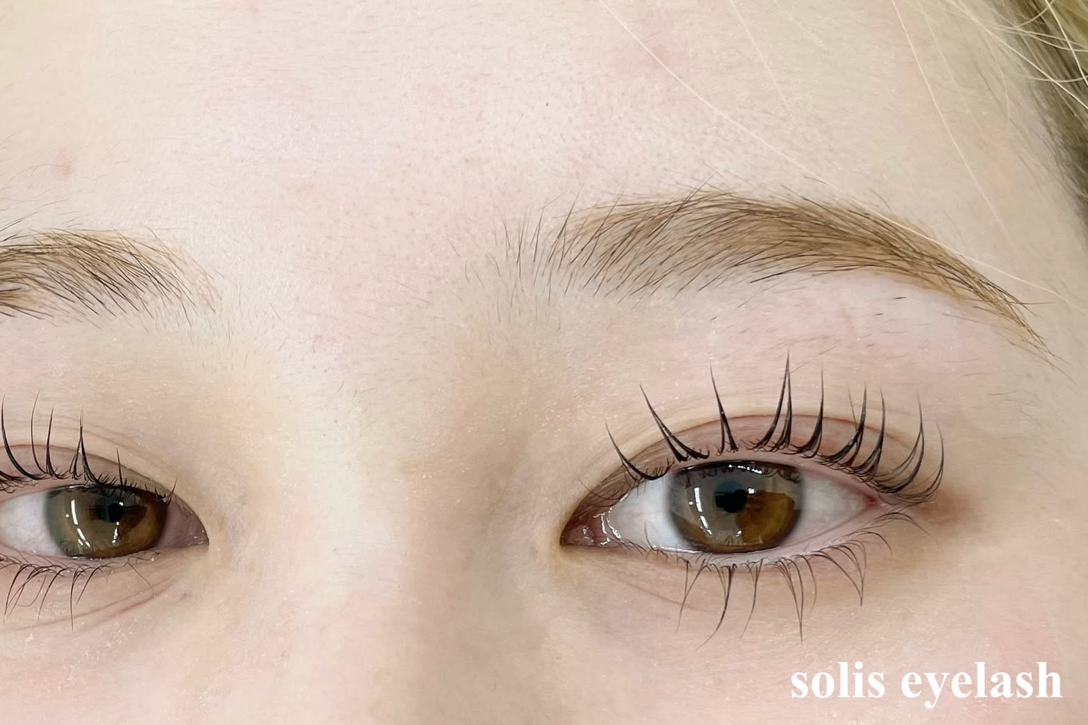 ソリス(Solis)のアイキャッチ画像