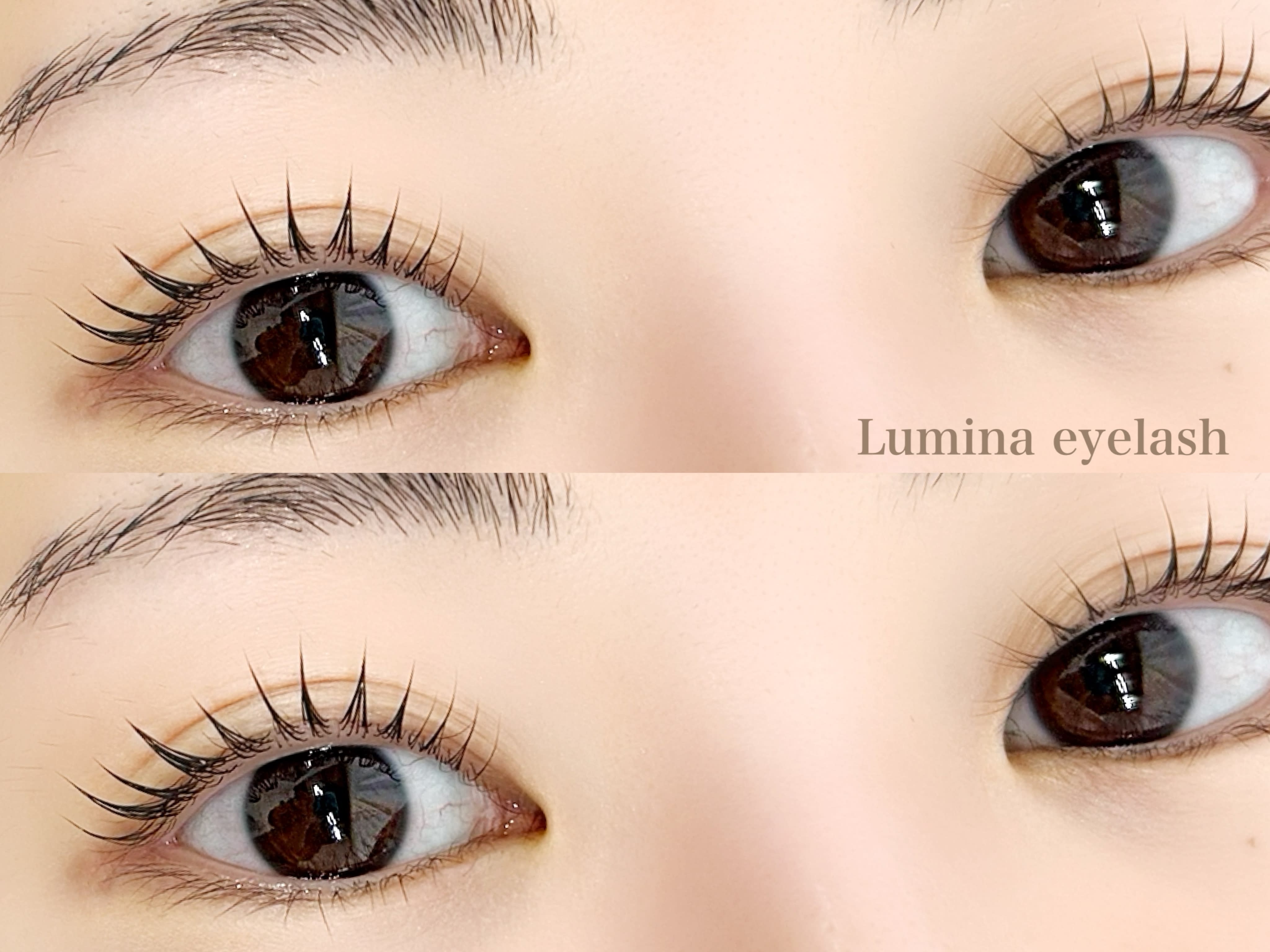Lumina eyelashのアイキャッチ画像