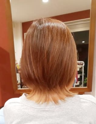 atelier cocoa【アトリエココア】のスタイル紹介。くらげエイテットボブ