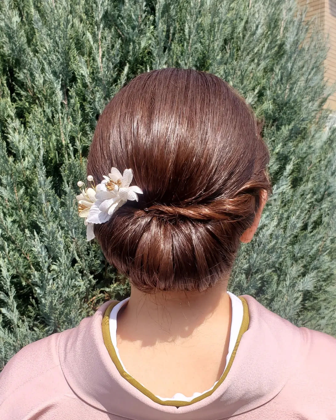 芙蓉【フヨウ】のスタイル紹介。芙蓉×スタイル