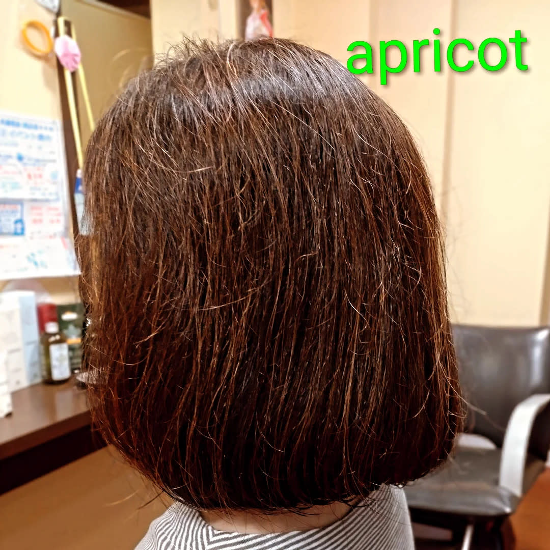 美容室アプリコット【ビヨウシツアプリコット】のスタイル紹介。ヘアマニュキュアでツヤ艶、ボブスタイル