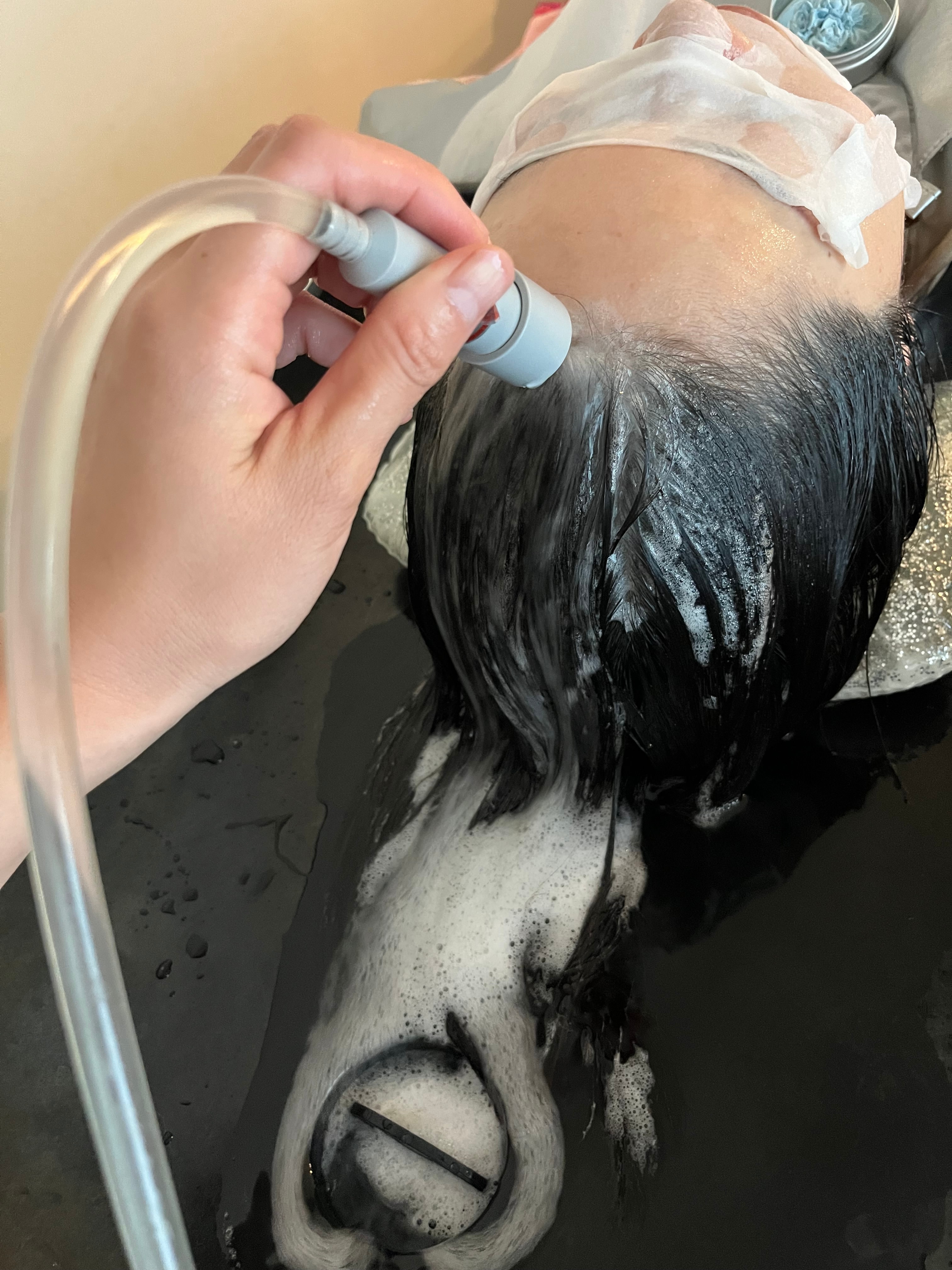 SiPULiのアイキャッチ画像