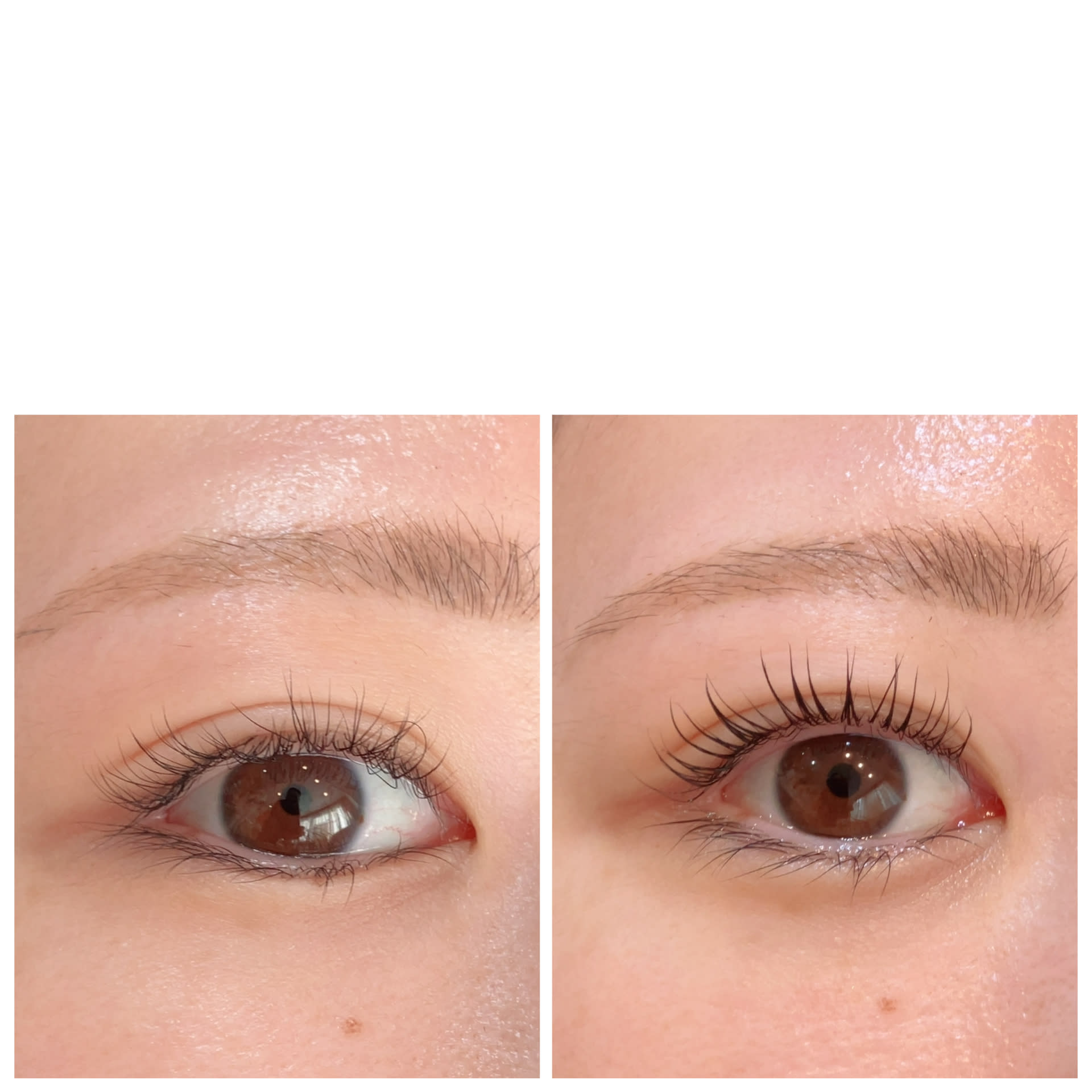 まつ毛＆フェイシャルMAXのアイキャッチ画像