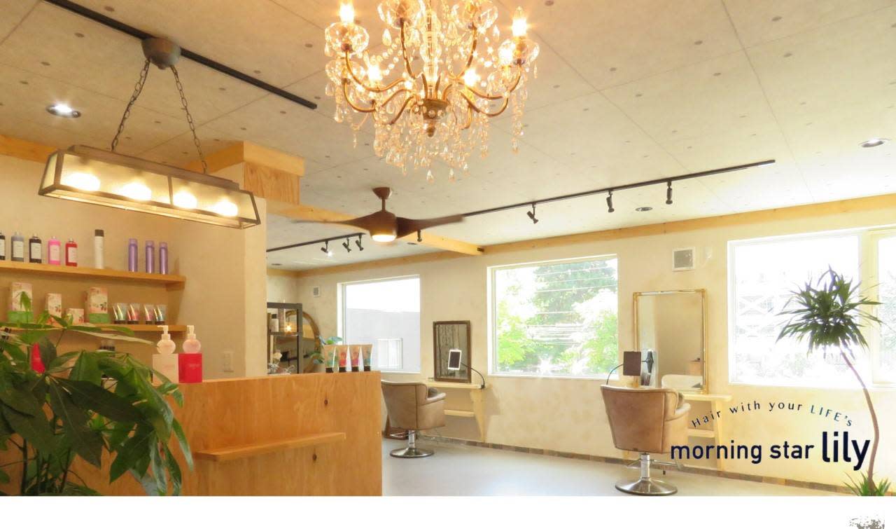 morning star lilyのアイキャッチ画像