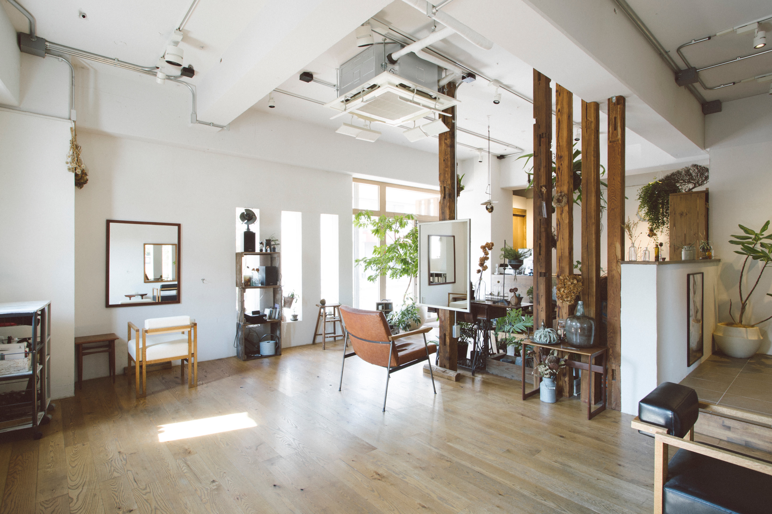 Botanica 【ボタニカ】のアイキャッチ画像